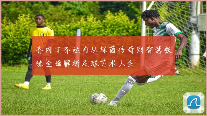 齐内丁齐达内从绿茵传奇到智慧教练全面解析足球艺术人生