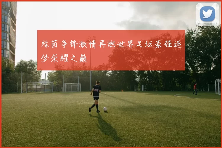 绿茵争锋激情再燃世界足坛豪强逐梦荣耀之巅