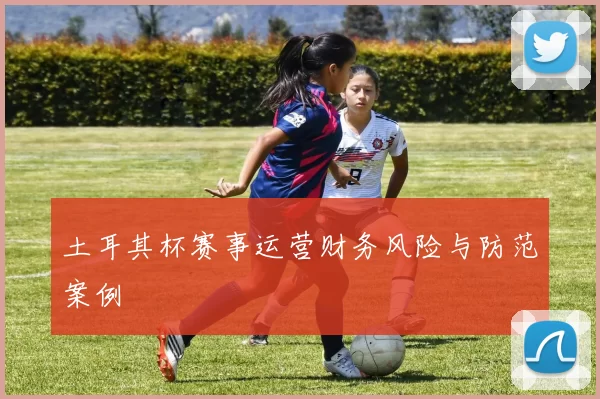 土耳其杯赛事运营财务风险与防范案例