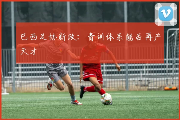 巴西足协新政：青训体系能否再产天才