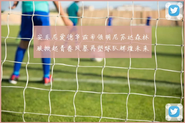 安东尼爱德华兹率领明尼苏达森林狼掀起青春风暴再塑球队辉煌未来