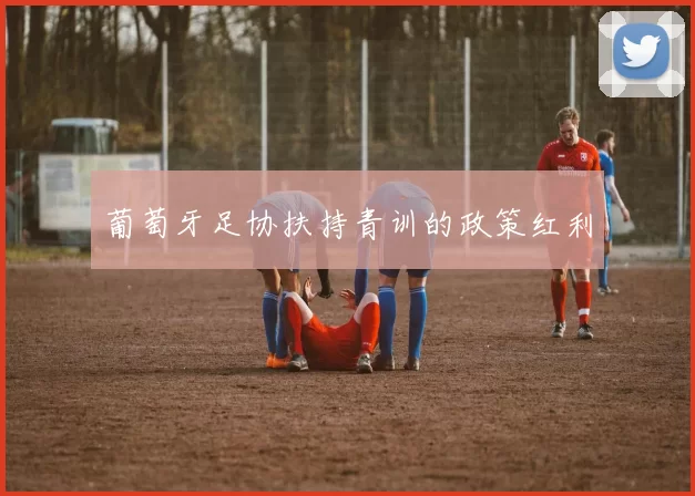 葡萄牙足协扶持青训的政策红利