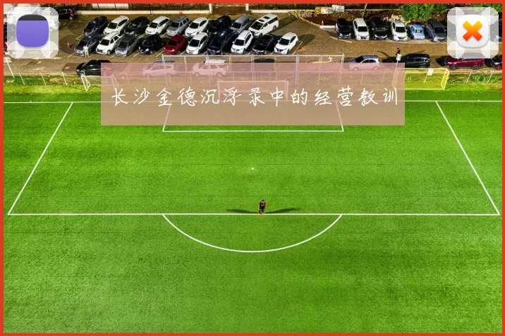 长沙金德沉浮录中的经营教训