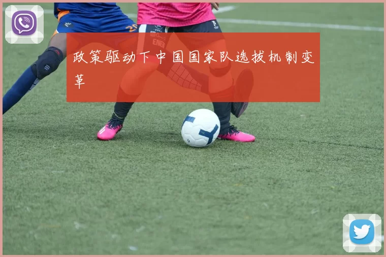 政策驱动下中国国家队选拔机制变革