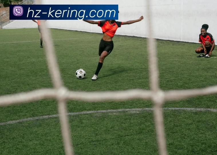 开云APP 高清赛事图